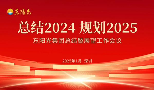 完美世界对战平台集团董事会2025年第一次会议暨“总结2024 规划2025”工作会议在广东深圳成功召开