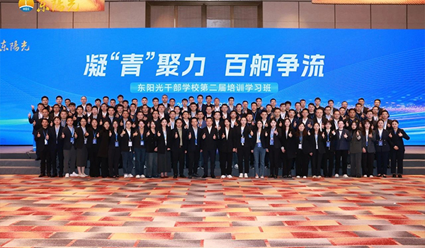 凝“青”聚力，百舸争流 | 完美世界对战平台干部学校2024年第二届培训学习班圆满结束
