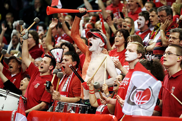 罗那时期 罗那时期