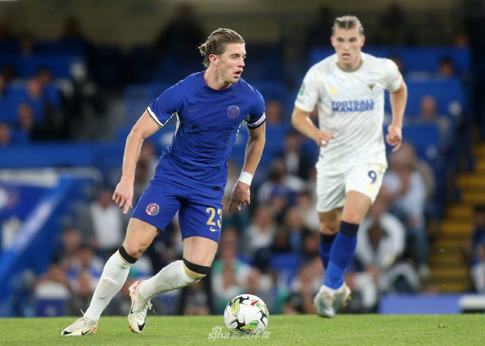 他的职业生 他的职业生